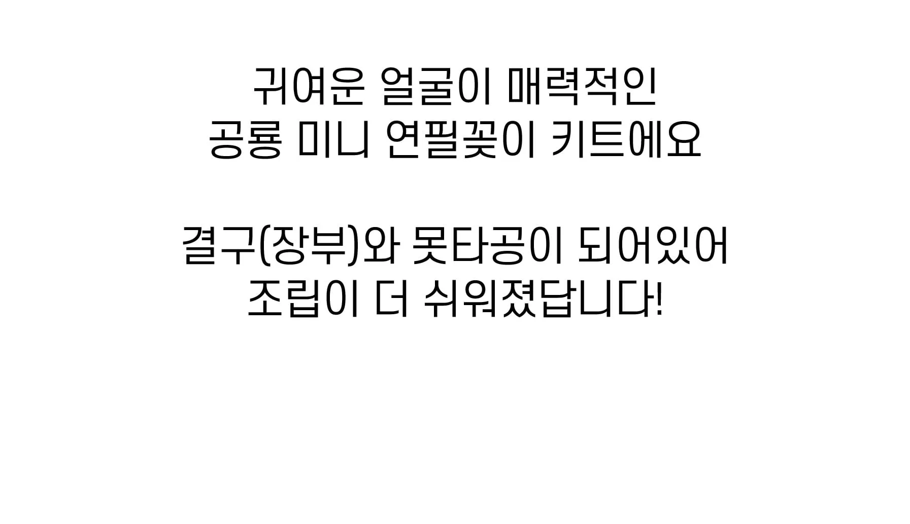 목공 체험 diy 브라키오사우르스 공룡 미니 연필꽂이 키트 재료 반제품 만들기 스튜디오612 상세 이미지 77