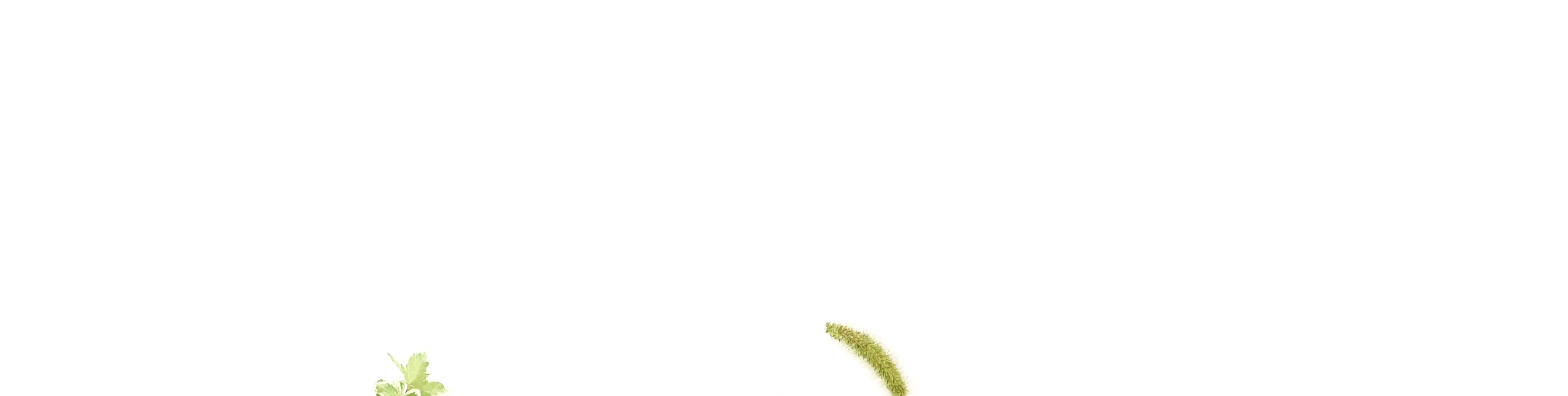 목공 체험 diy 미니 우드 화병키트 우드화병 시험관화병 시험관 우드홀더 재료 반제품 만들기 쓸모좋은목공키트 상세 이미지 58