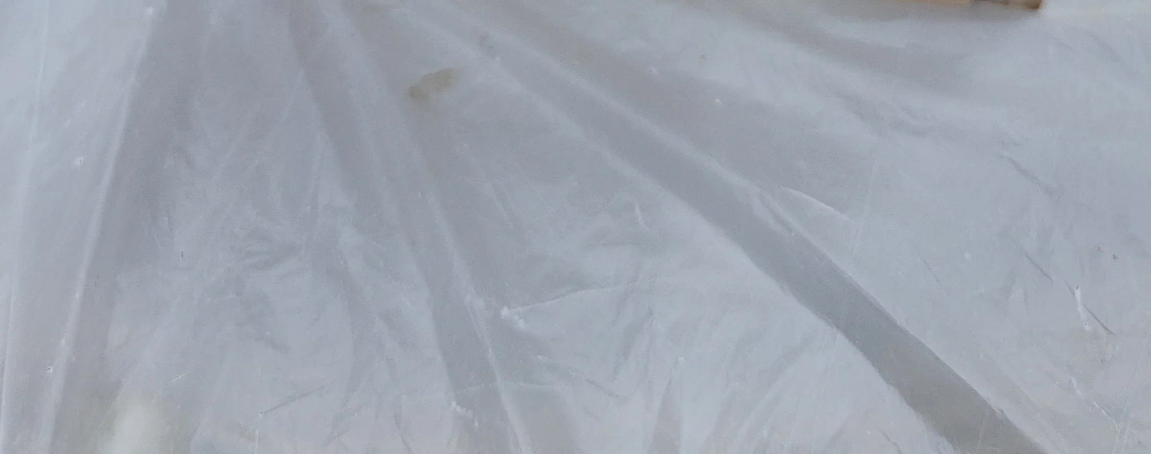 [강아지 수납함] 강아지 여닫이 보관함 목공 체험 재료 목공 diy 수업 목공 키트 상세 이미지 63